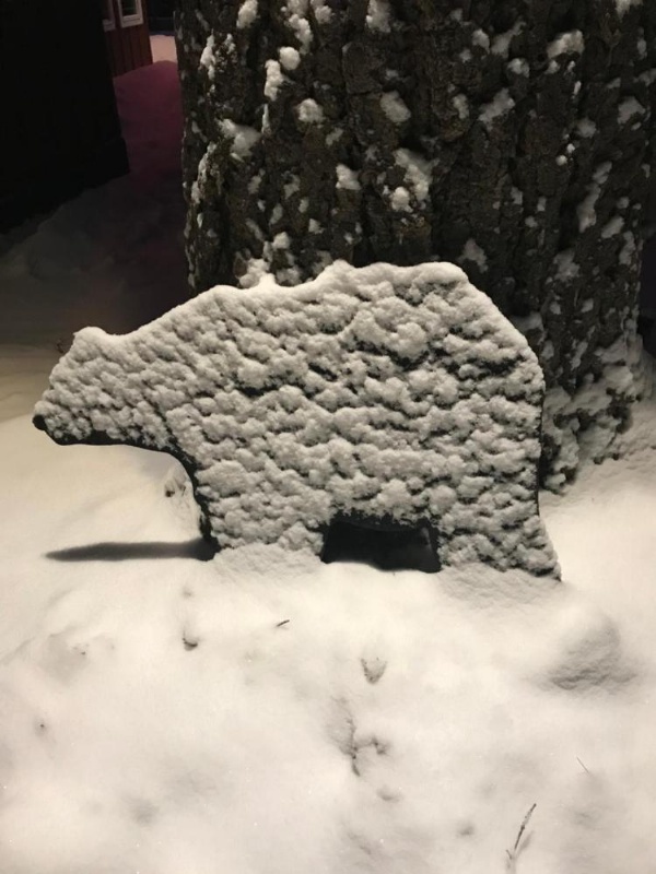 Tahoma Meadows - Sugar Pine Cabin image 19